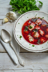 Borscht with dumplings and fresh ingredients