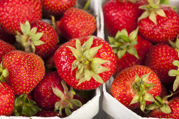 Erdbeeren Nahaufnahme