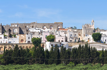 Panoramic view of Specchia. Puglia. Italy.