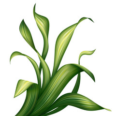 creative foliage, green leaves and grass illustration