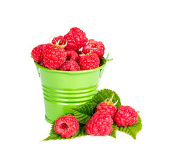 Bucket with fresh raspberries