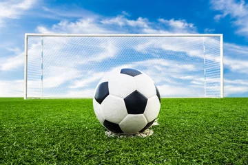 Foto auf Acrylglas Fußball soccer ball on green grass field
