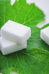 sugar cube on leaf