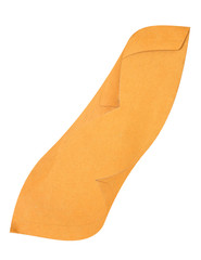 Brown paper envelope.