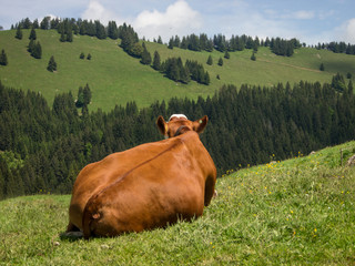schöner rücken