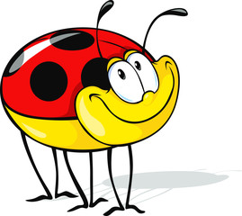 funny ladybug cartoon © hanaschwarz