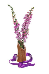 foxglove flowers in a vase and a purple ribbon isolated