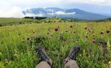 hikers boot on meadow