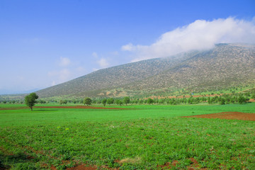 Fototapeta na wymiar Turkey - tranquil landscape with mountains