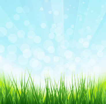 Nature background with grass