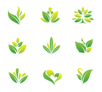 Green nature and tree symbol