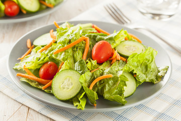Fresh Organic Green Salad