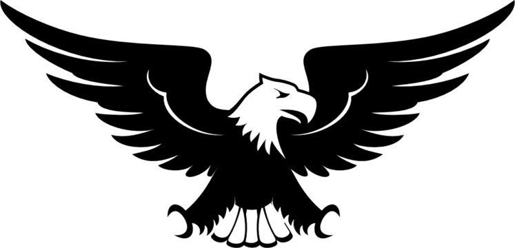 eagle front view vector