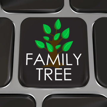 Family Tree Computer Laptop Keyboard Key Button Research History