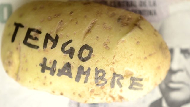 Silvana Comugnero
