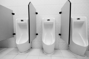 Tree urinal in public toilet