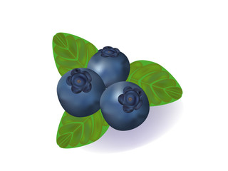blueberry
