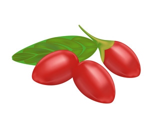 goji berry