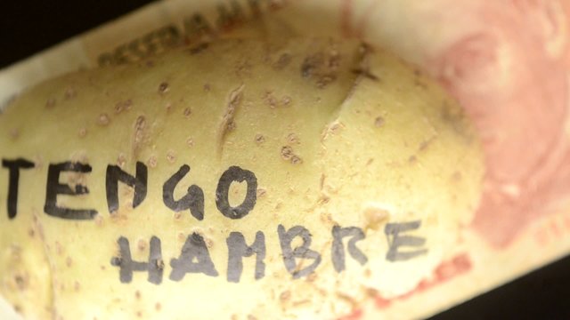 Silvana Comugnero