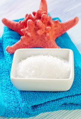 sea salt and shells