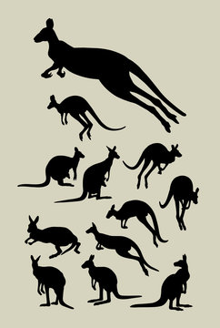 Kangaroo Silhouettes