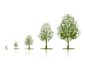 Stages of growing tree for your design