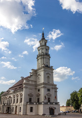 Fototapeta na wymiar Kaunas pałac ślubów