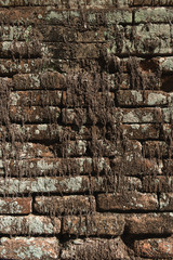 old brick wall 3