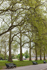 Fototapeta na wymiar Hyde Park, Londyn