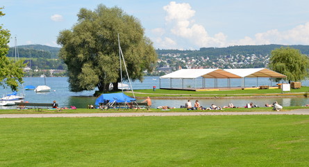 Fototapeta premium jardin public