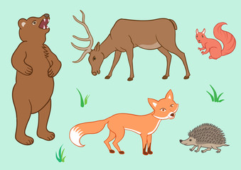 The forest animals. Set of animals from European forest.