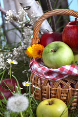 Healthy Organic Apples in the Basket.