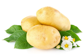 potatoes with leaves and flower