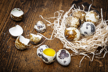 fresh raw quail eggs