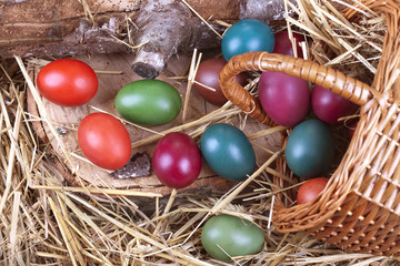 Fototapeta na wymiar Traditional colored eggs with basket