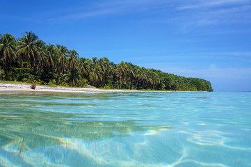 Fototapeta na wymiar Egzotycznych plaża z turkusowymi wodami