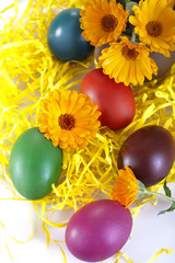 Fototapeta na wymiar Traditional colored eggs with marigolds