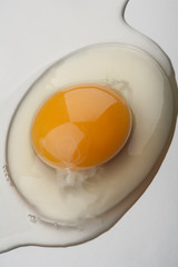 Organic egg yolk closeup