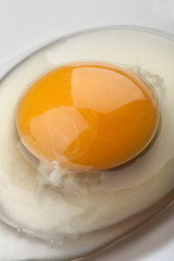 Organic egg yolk closeup