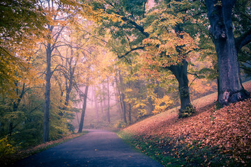 park in fall