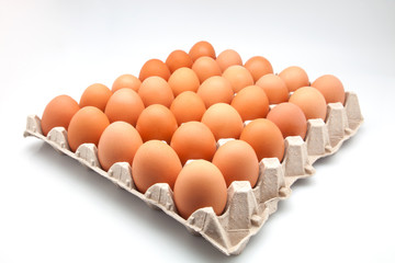 huevos de gallina