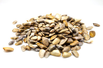 almejas frescas