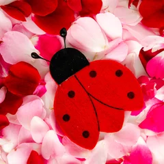 Tuinposter Lieveheersbeestje en rozenblaadjes © womue