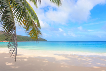 Obraz na płótnie Canvas Tropical beach Anse Lazio, Praslin island, Seychelles