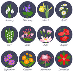Flowers months of the year on dark background