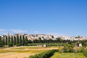 Fototapeta na wymiar Panoramiczny widok z lustrem. Puglia. Włochy.