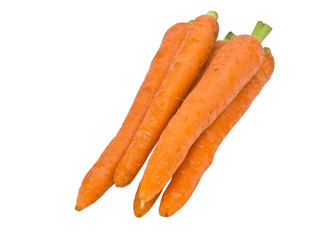 fresh carrots