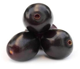 Fresh Blackberry