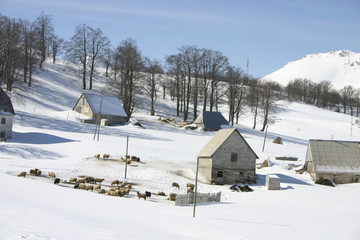 Mountain village covered with snow