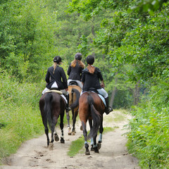 women on a horse ride.